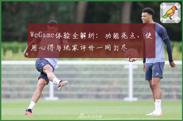 WeGame体验全解析：功能亮点、使用心得与玩家评价一网打尽