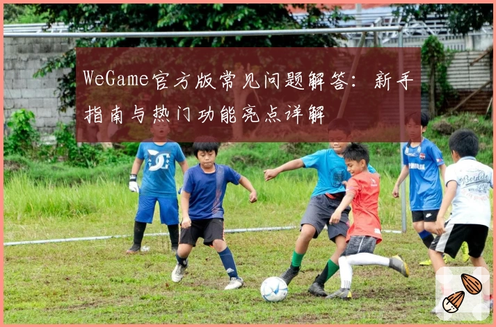 WeGame官方版常见问题解答：新手指南与热门功能亮点详解